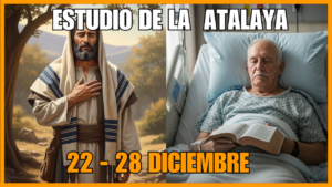 estudio de la atalaya