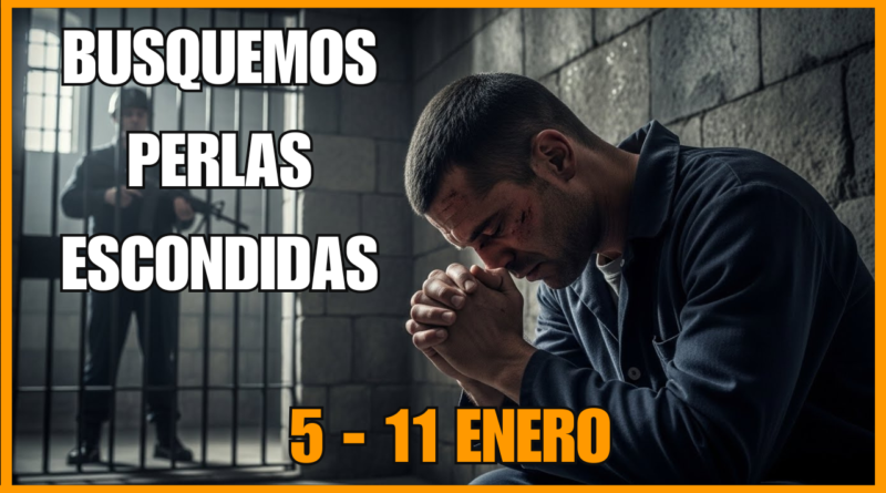 busquemos perlas escondidas